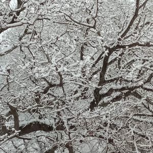 Meet your Posher, Juli